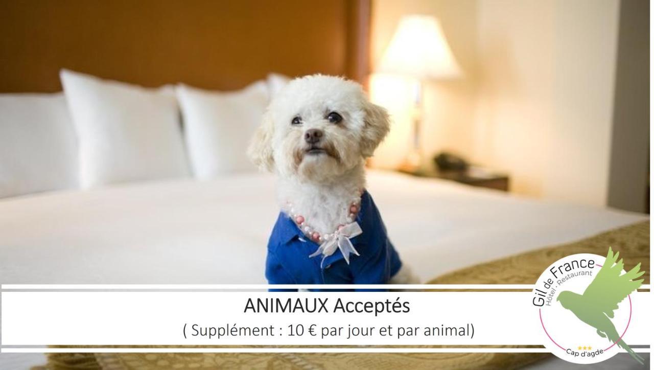 Hotel & Spa Gil De France Cap D'Agde Luaran gambar